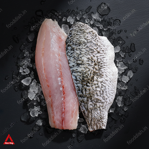Barramundi Hero