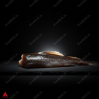 Black Cod Cinematic
