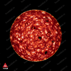 Pepperoni - Backlit Macro