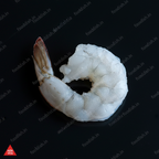 Prawns 21/25 - Macro