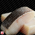 Seabass Macro