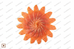 Smoked Salmon - White Flat Lay