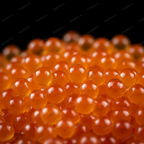 Tobikko Macro