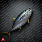 Tuna 45