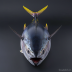 Tuna Front